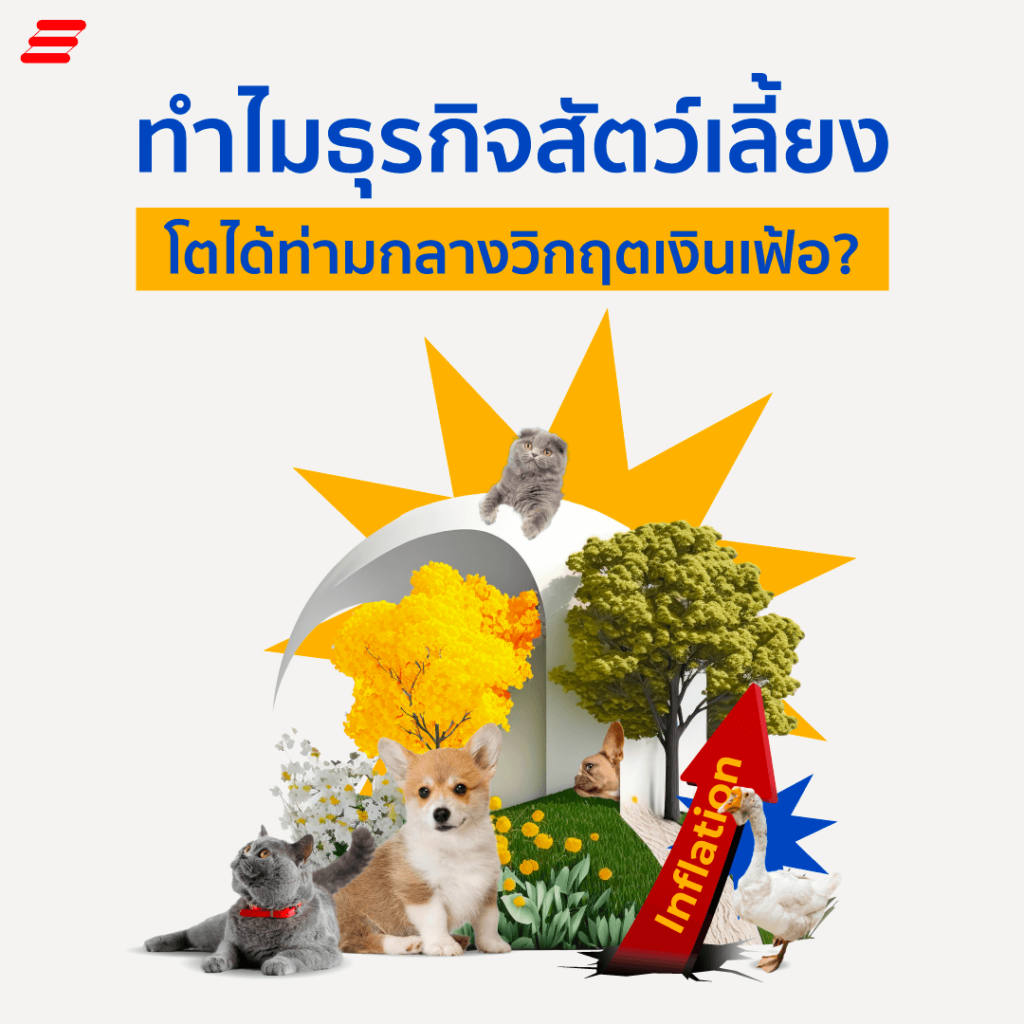 ธุรกิจสัตว์เลี้ยง